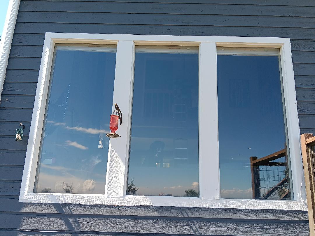 Morrison, CO. Old wood IG stationary glass Picture windows without ventilation
